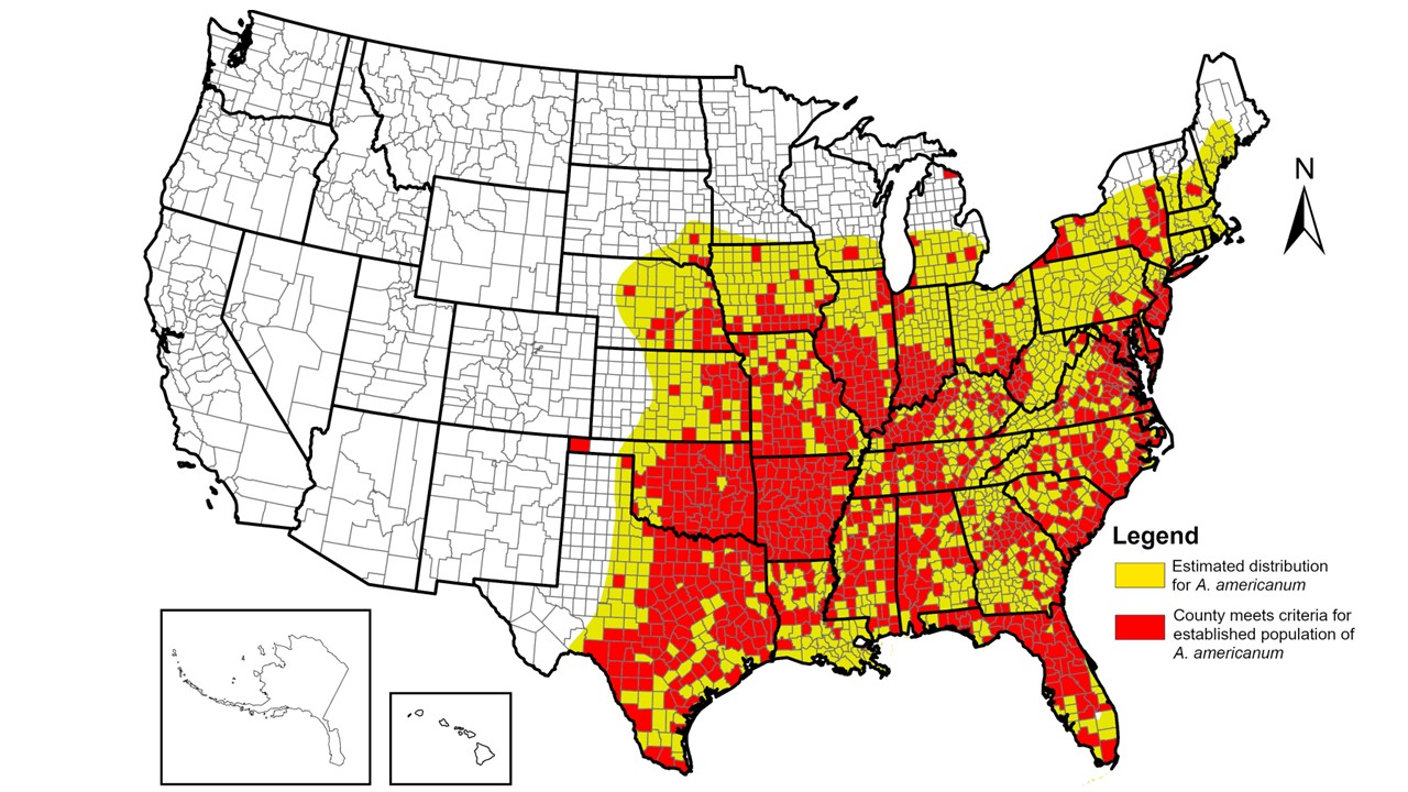 Image shows a map of the United States highlighting which counties have an established population of lone star ticks