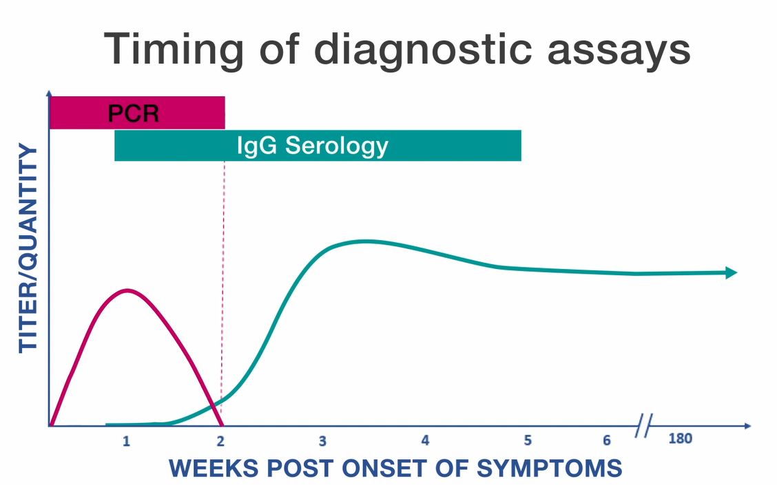 Line graph displaying timing of diagnostic assays, including PCR and IGg Serology assays.