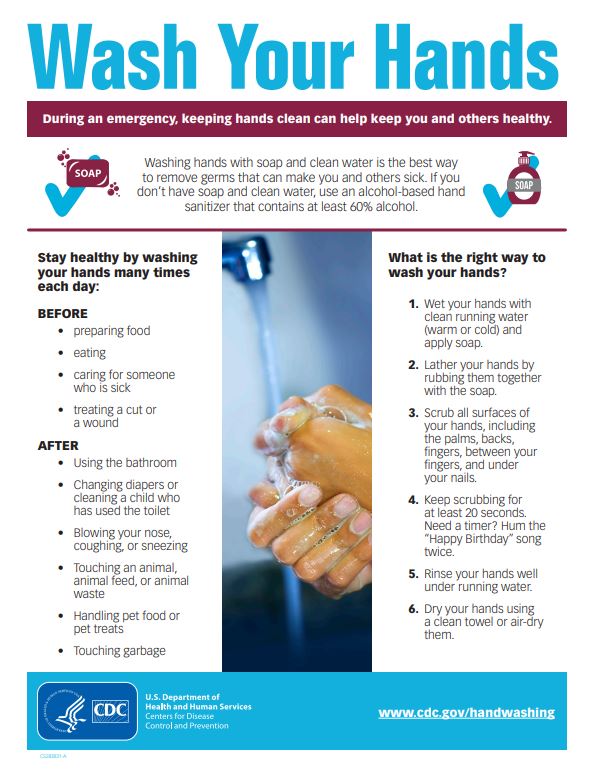 Wash Your Hands - English